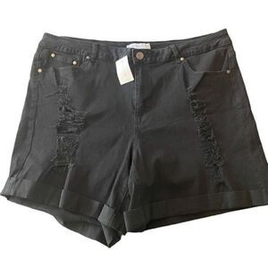 Ashley Stewart NEW curvy girl plus size 22 black distressed shorts